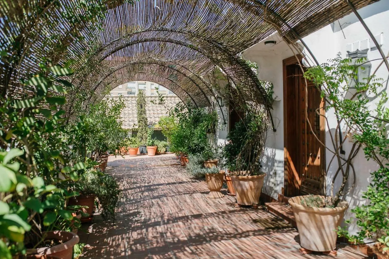 Apartamento Cordoba COol Vailima España