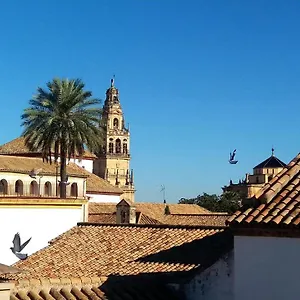 La Mirada De La Judería Apartamento