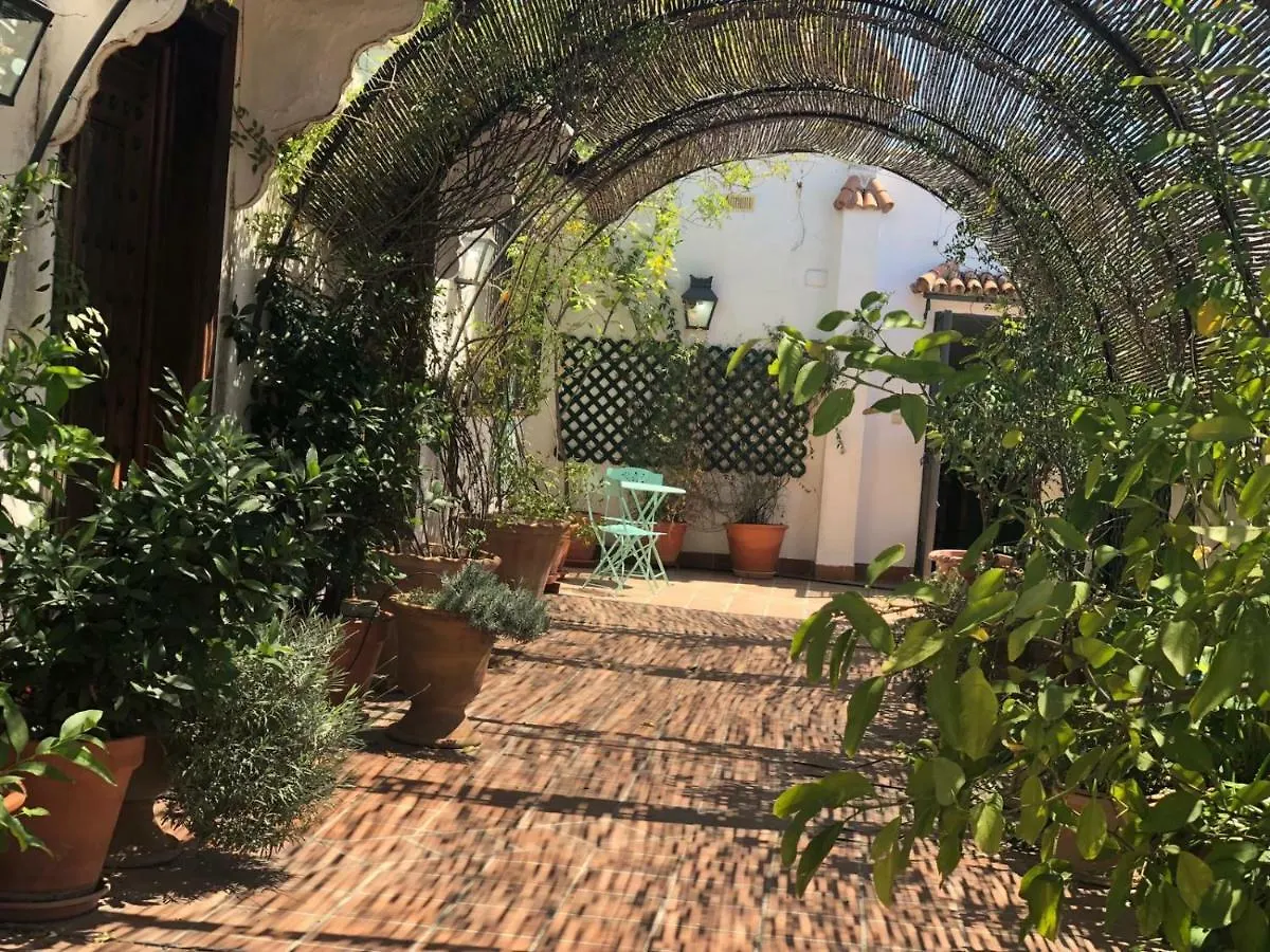 Cordoba Cool Vailima Apartman Spanyolország
